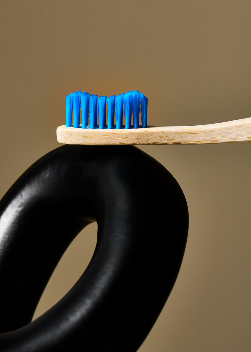 Humble Brush Bamboo - moyen, bleu