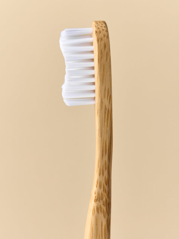 Humble Brush Bamboo - soft, white