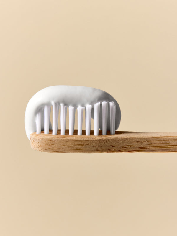 Humble Brush Bamboo - soft, white
